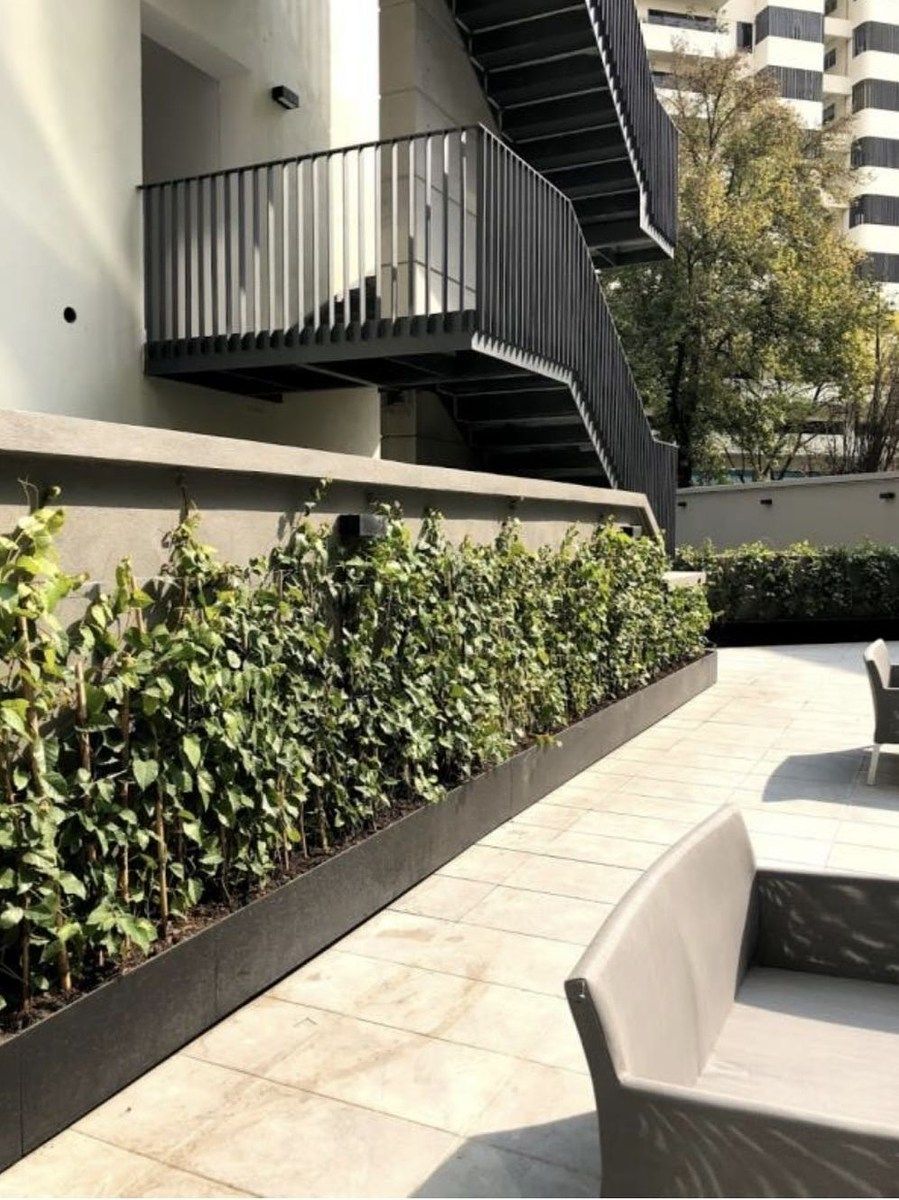 Apartment in Polanco V Sección, Miguel Hidalgo, photo 4 of 15