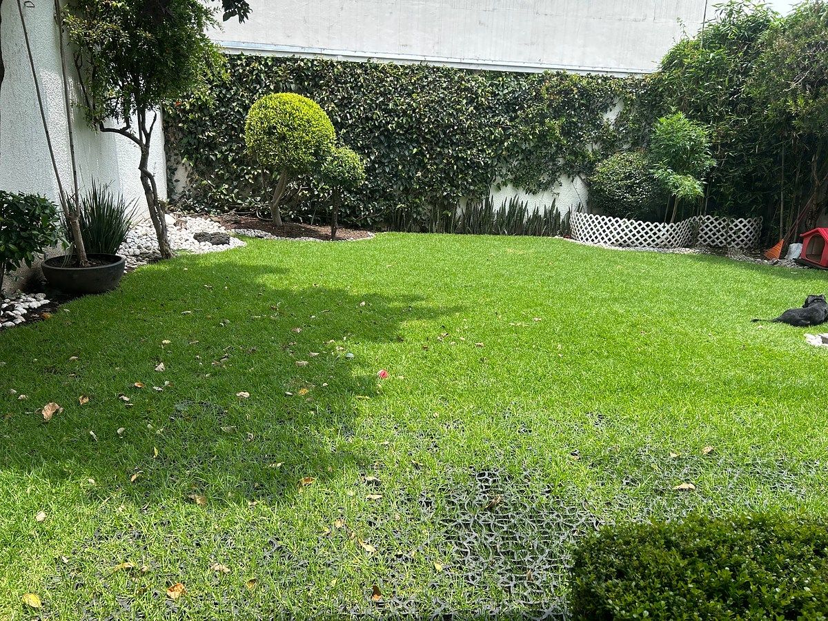 Casa em Insurgentes Cuicuilco, Coyoacán, foto 6 de 20