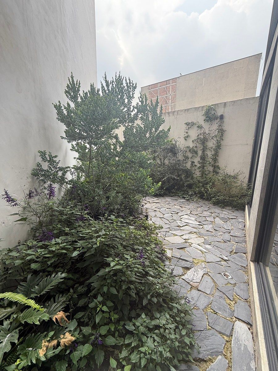 Departamento en Roma Norte, Cuauhtémoc, foto 3 de 11