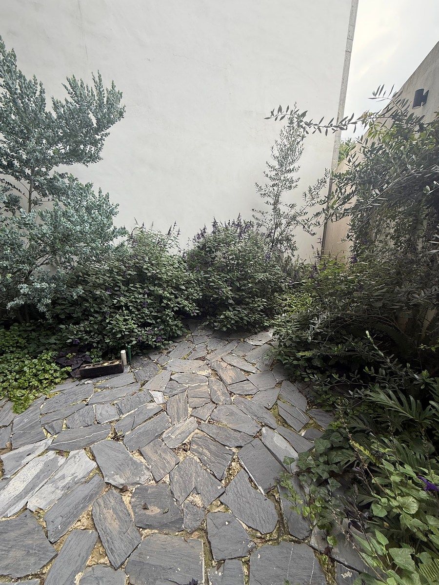 Departamento en Roma Norte, Cuauhtémoc, foto 4 de 11