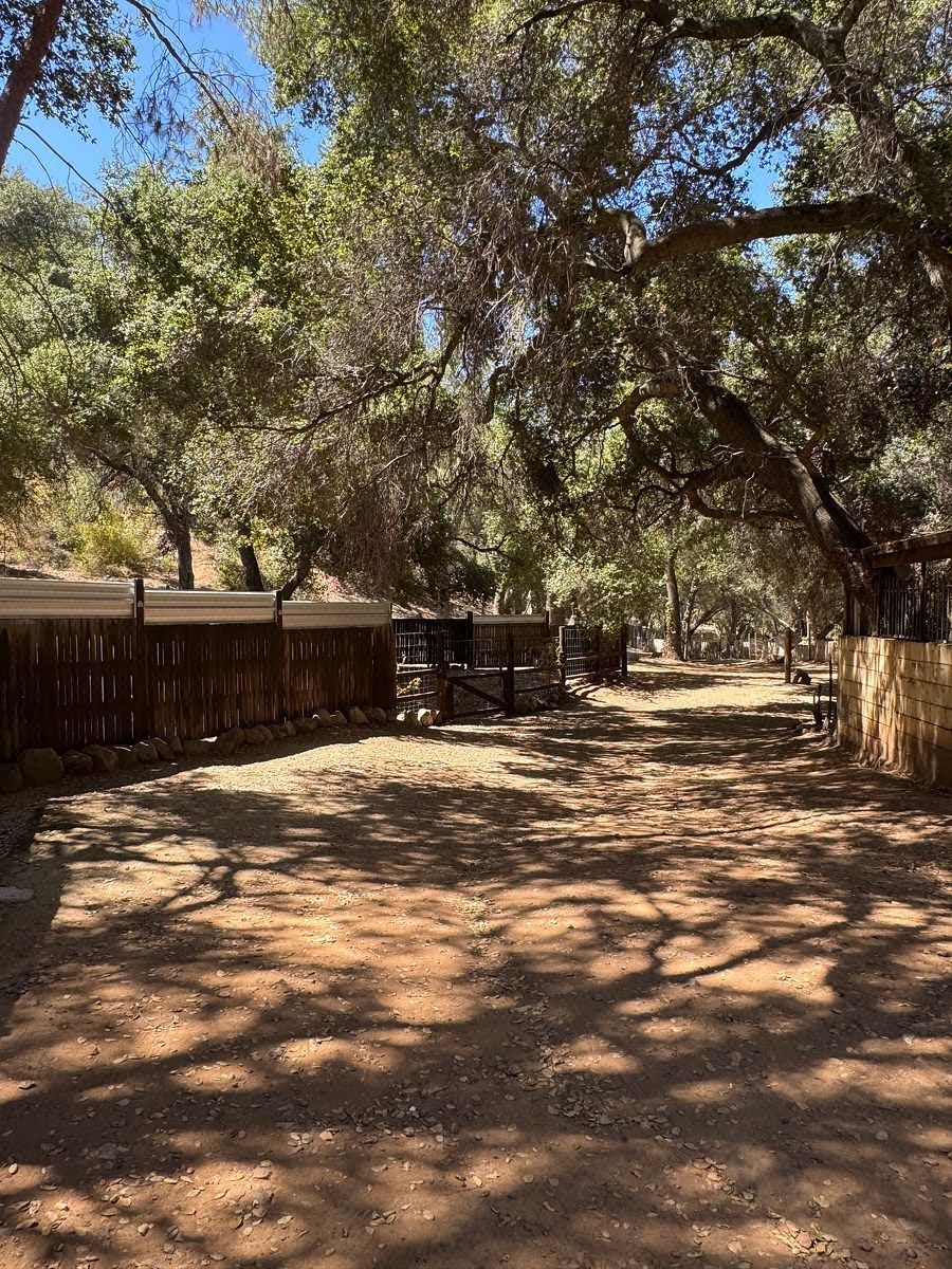 Quinta en Lomas de San Antonio, Ensenada, foto 31 de 34