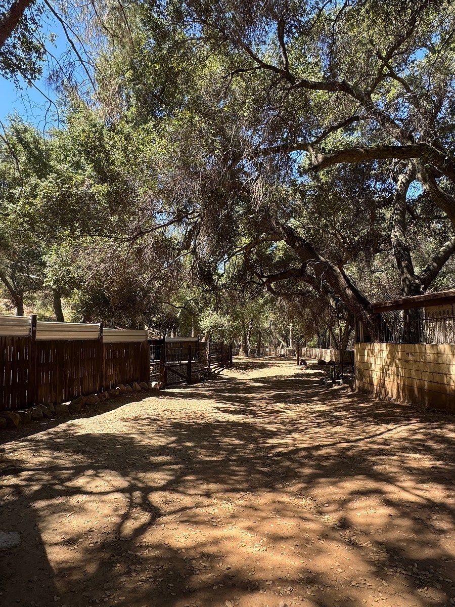 Quinta en Lomas de San Antonio, Ensenada, foto 33 de 34