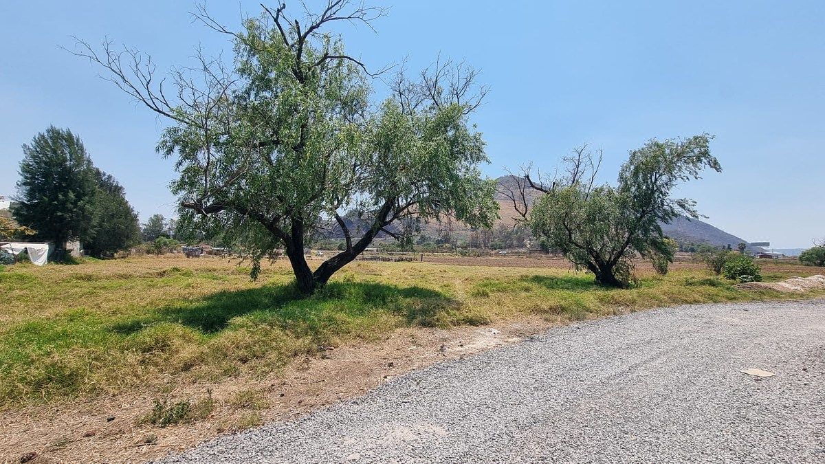 Lot in Santa Cruz de las Flores, Tlajomulco de Zúñiga, photo 5 of 16