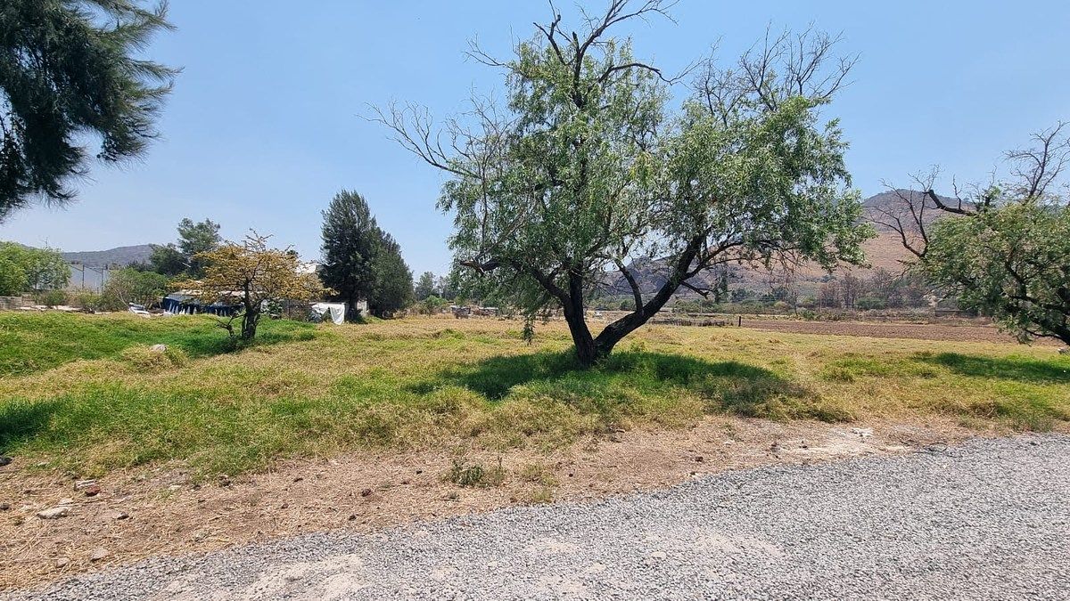 Lot in Santa Cruz de las Flores, Tlajomulco de Zúñiga, photo 6 of 16