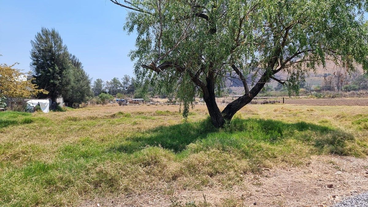 Lot in Santa Cruz de las Flores, Tlajomulco de Zúñiga, photo 8 of 16