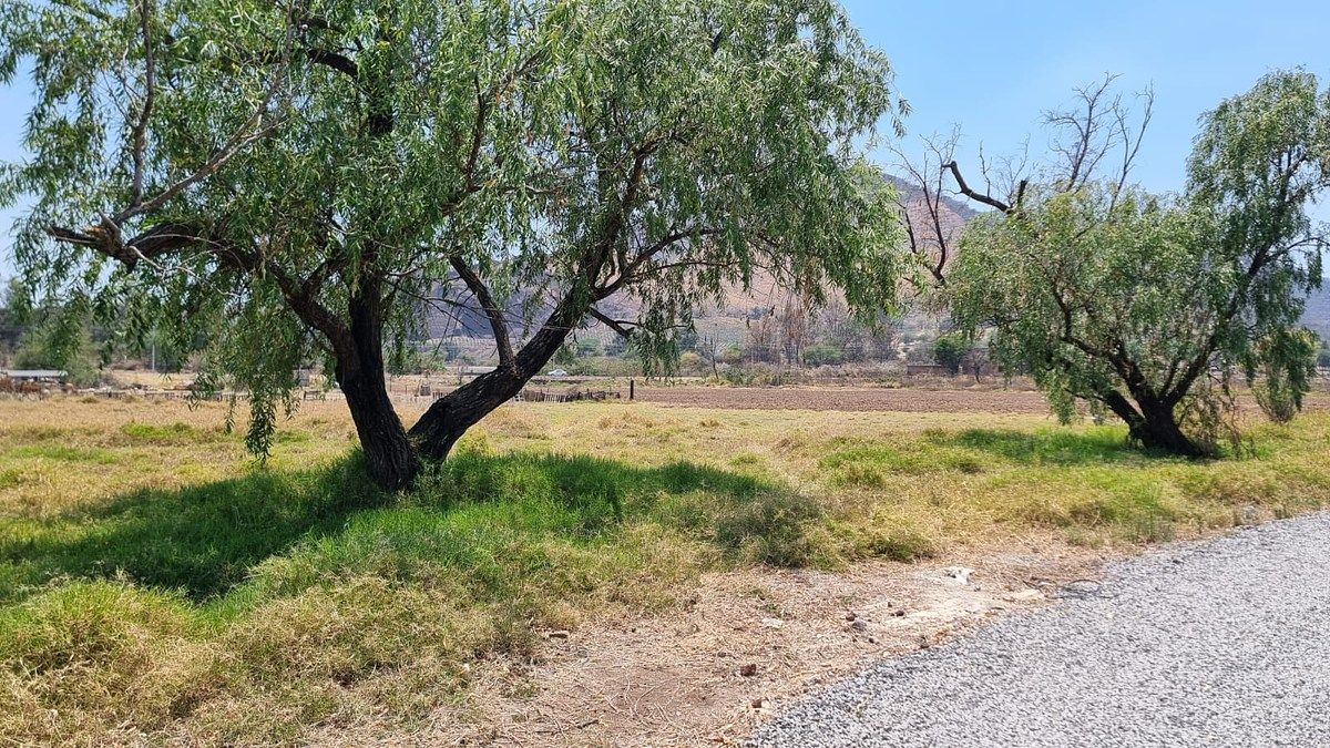 Lot in Santa Cruz de las Flores, Tlajomulco de Zúñiga, photo 9 of 16
