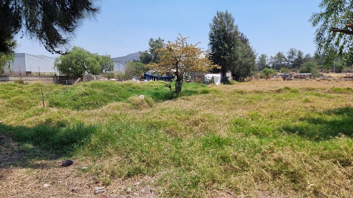 Lot in Santa Cruz de las Flores, Tlajomulco de Zúñiga, photo 10 of 16