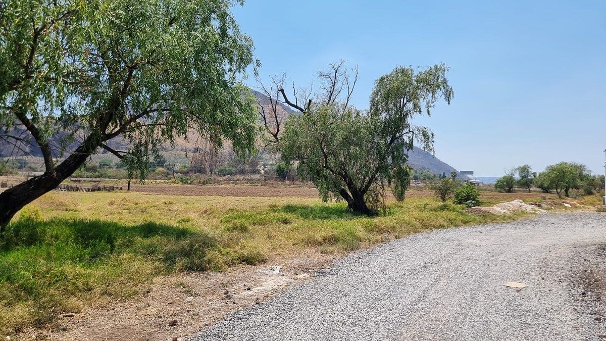 Lot in Santa Cruz de las Flores, Tlajomulco de Zúñiga, photo 11 of 16