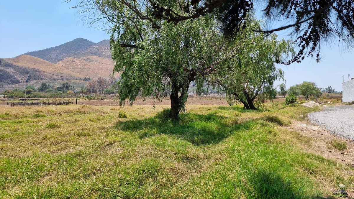 Lot in Santa Cruz de las Flores, Tlajomulco de Zúñiga, photo 14 of 16