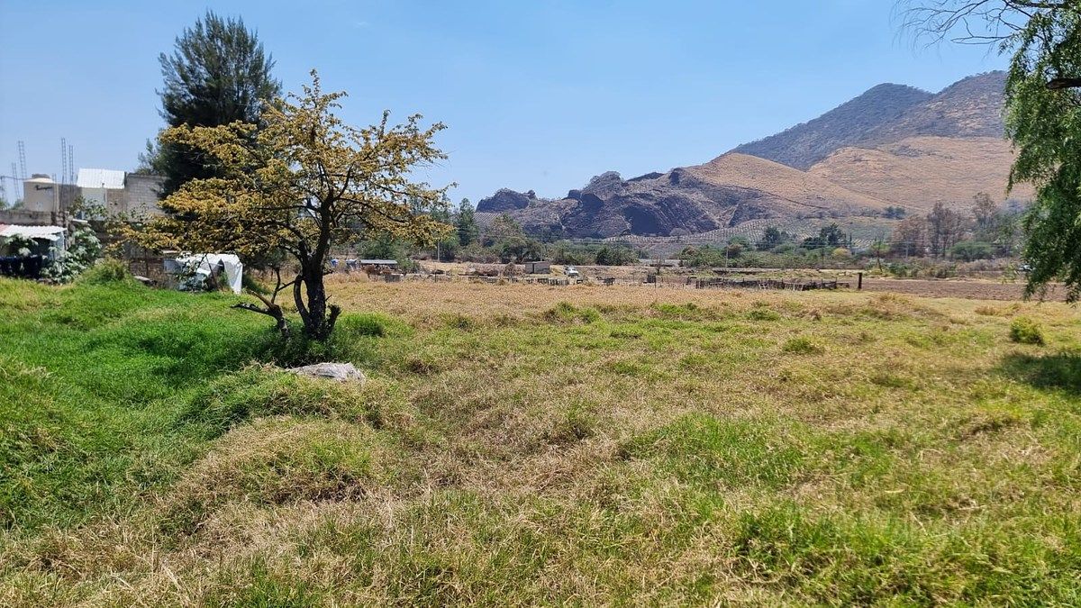 Lot in Santa Cruz de las Flores, Tlajomulco de Zúñiga, photo 15 of 16