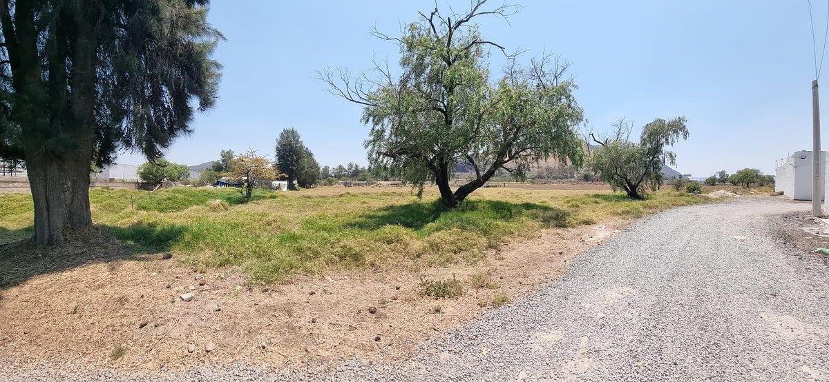 Lot in Santa Cruz de las Flores, Tlajomulco de Zúñiga, photo 16 of 16