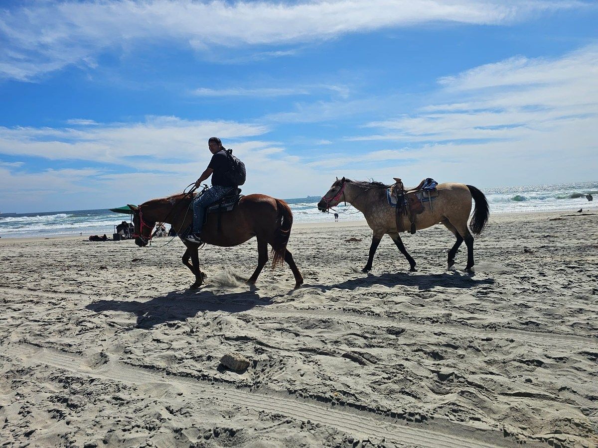 Lote em Miramar, Playas de Rosarito, foto 20 de 37