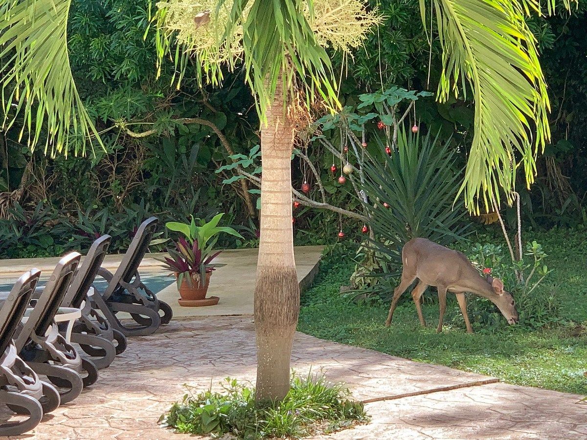 Apartamento em Playa del Carmen, Playa del Carmen, foto 16 de 16