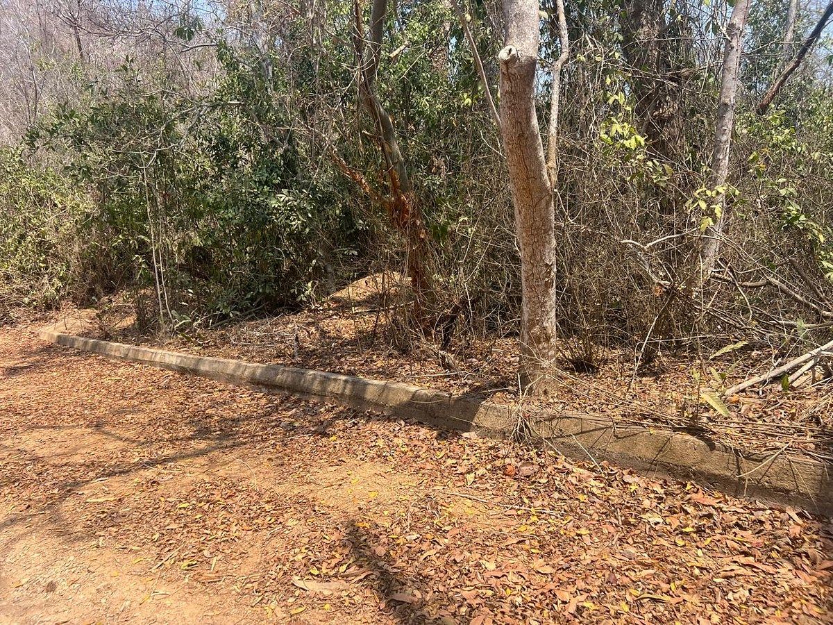 Lote em Country Club, Manzanillo, foto 2 de 33