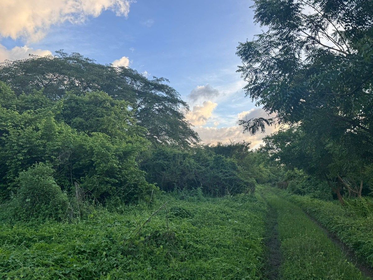 Lote em Huichipilin, Tonalá, foto 4 de 13