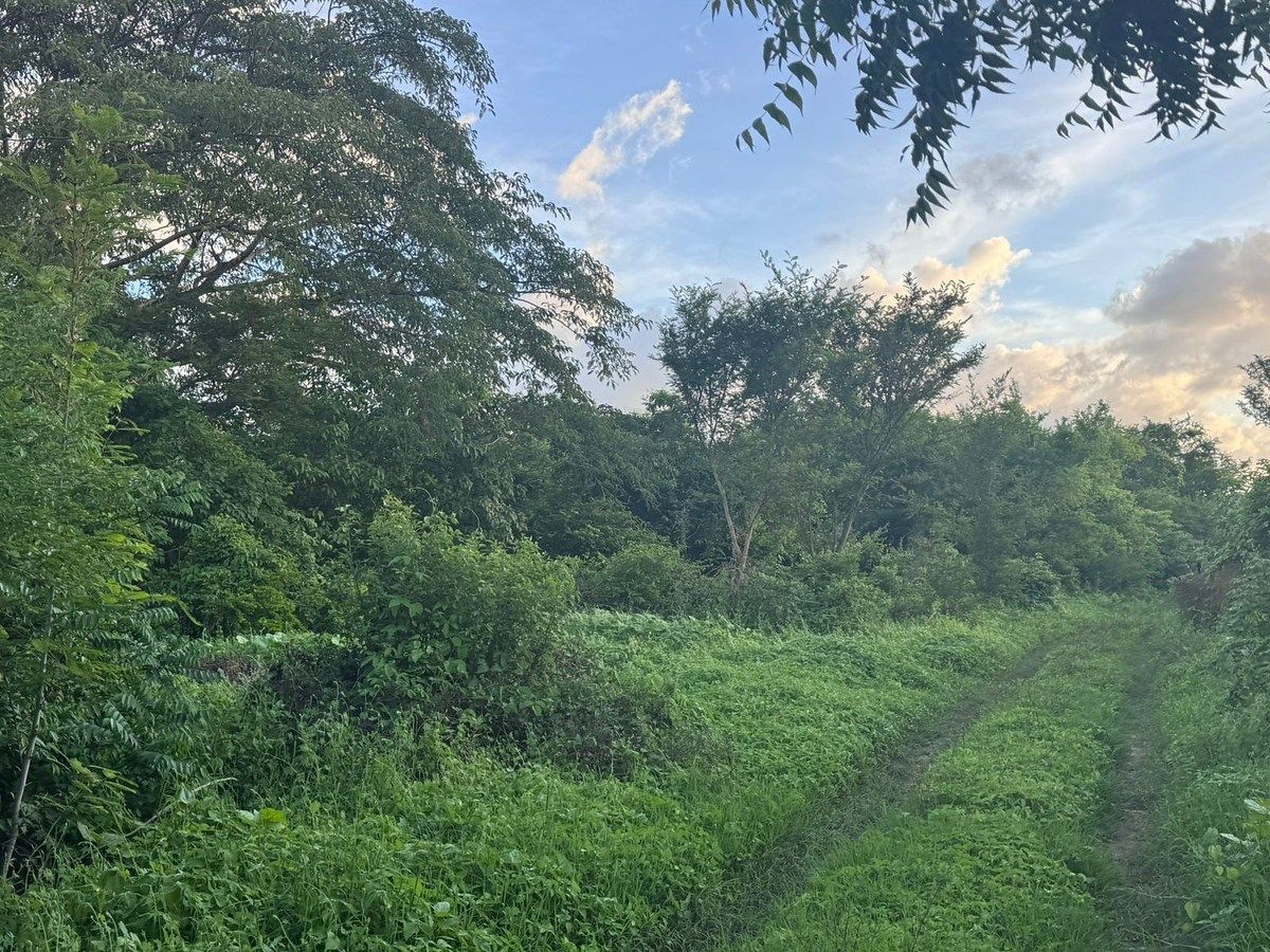 Lote em Huichipilin, Tonalá, foto 3 de 13