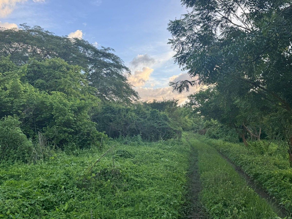 Lote em Huichipilin, Tonalá, foto 6 de 13
