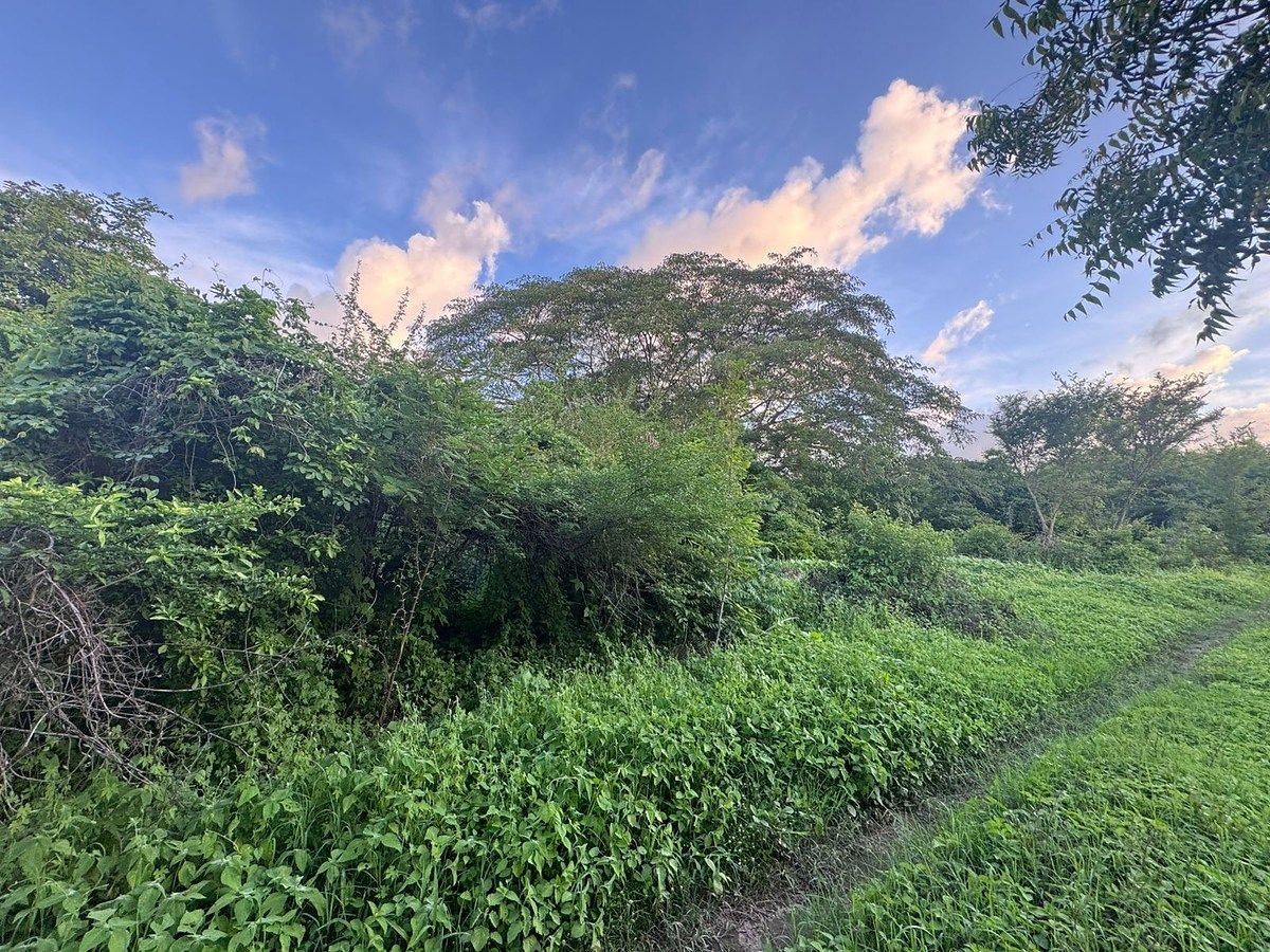 Lote em Huichipilin, Tonalá, foto 7 de 13