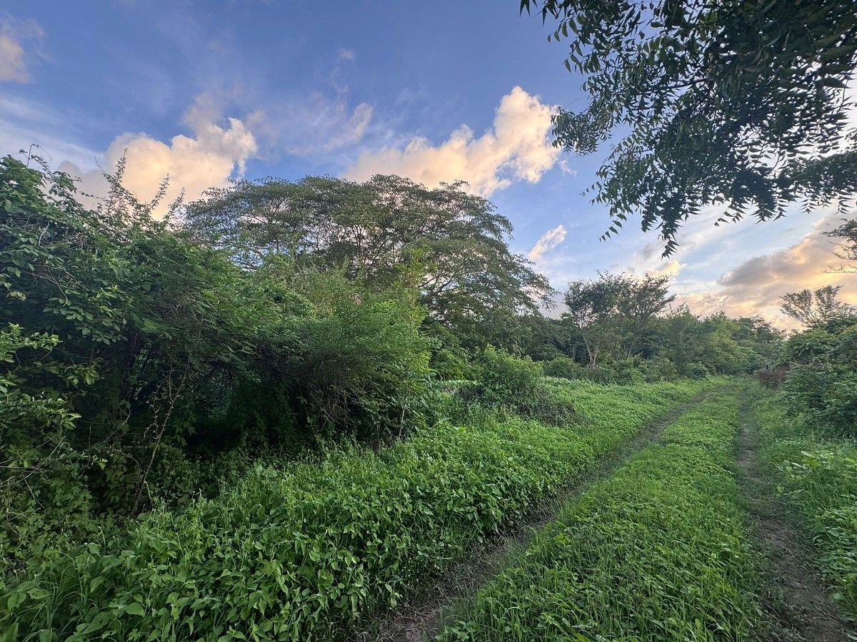 Lote em Huichipilin, Tonalá, foto 8 de 13