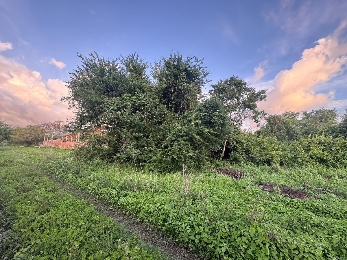 Lote em Huichipilin, Tonalá, foto 9 de 13