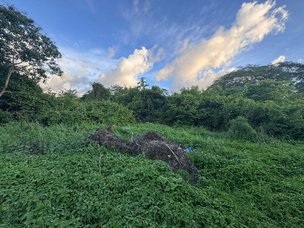 Lote em Huichipilin, Tonalá, foto 10 de 13