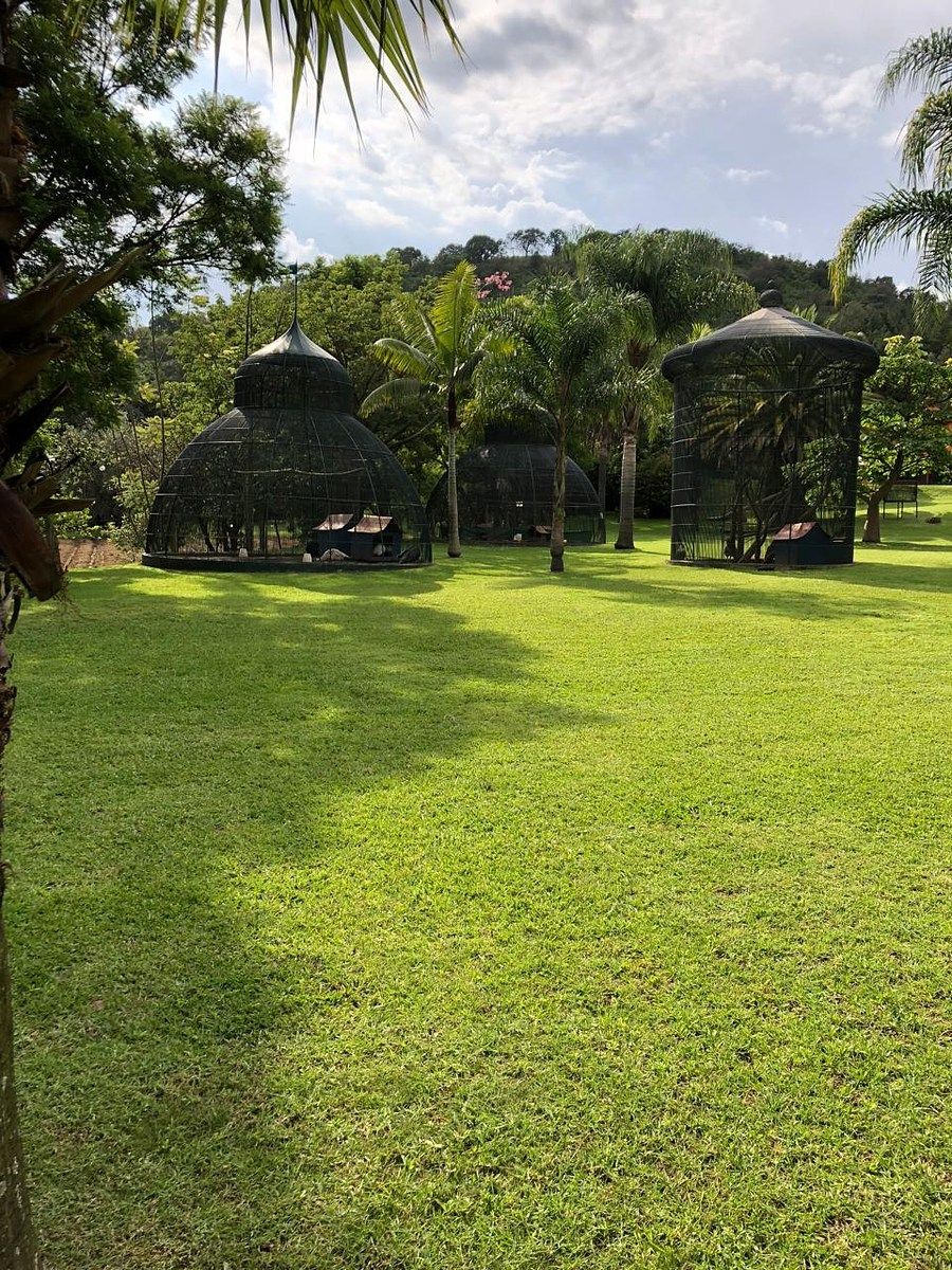 Ranch in Totolapan, Totolapan, photo 3 of 19