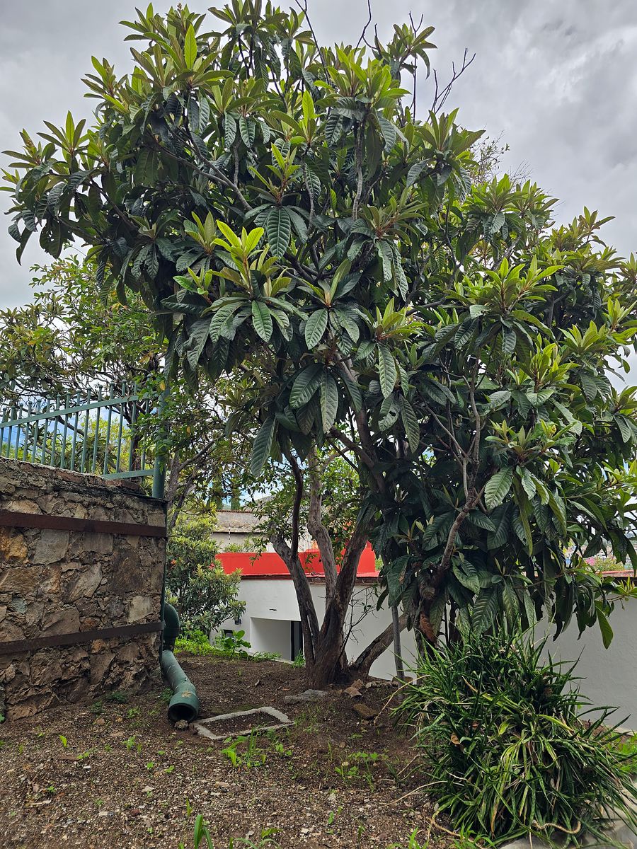 Casa en Pastita, Guanajuato, foto 18 de 18