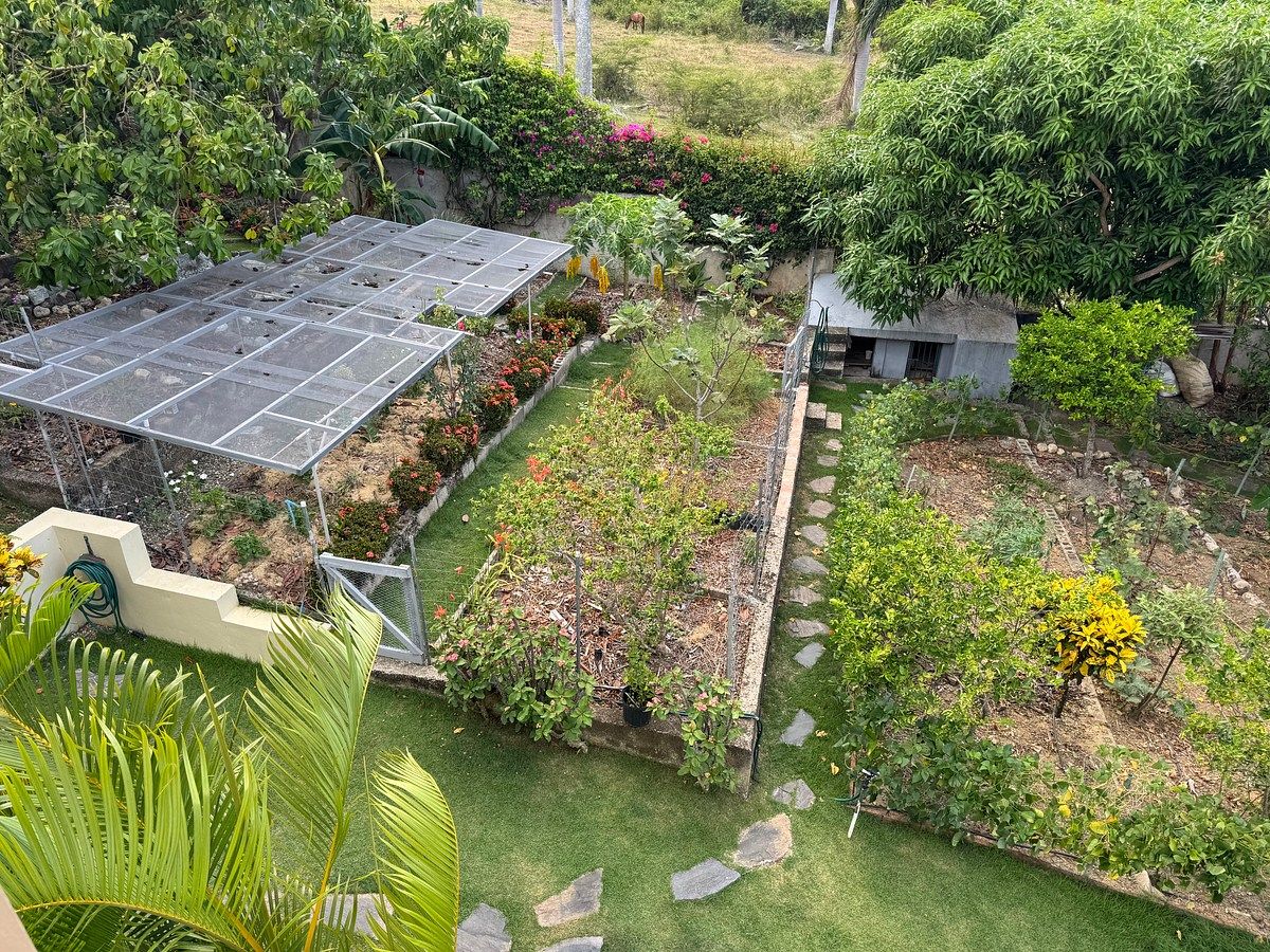House in San Felipe de Puerto Plata, photo 37 of 41