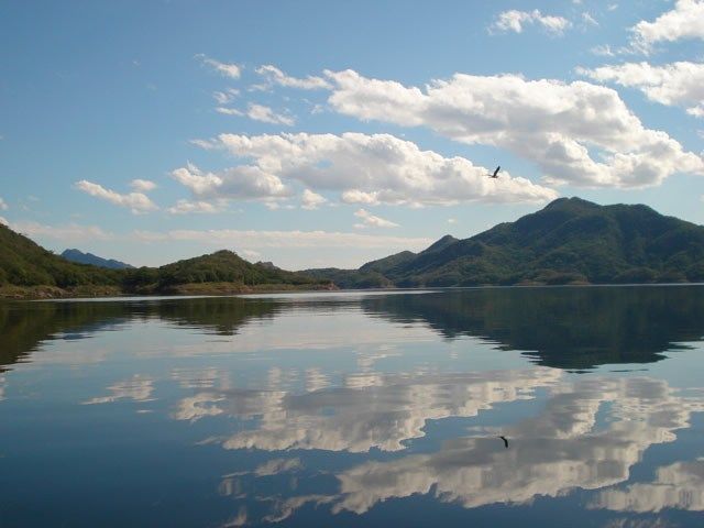 Terreno en Venta en Fracc. Las Tortugas, Arenal Jal., foto 1 de 12