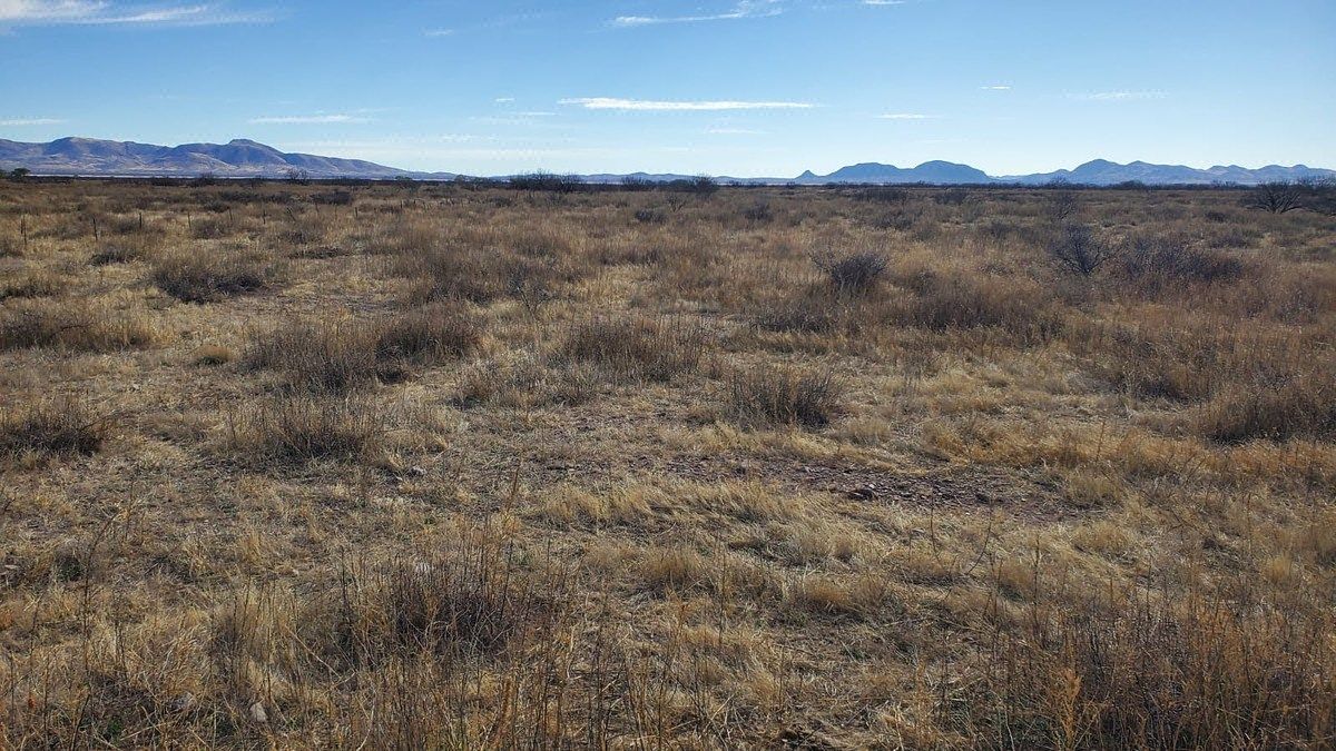 Terreno en El  Sáuz, Chihuahua, foto 3 de 4