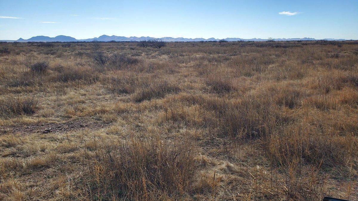 Terreno en El  Sáuz, Chihuahua, foto 2 de 4