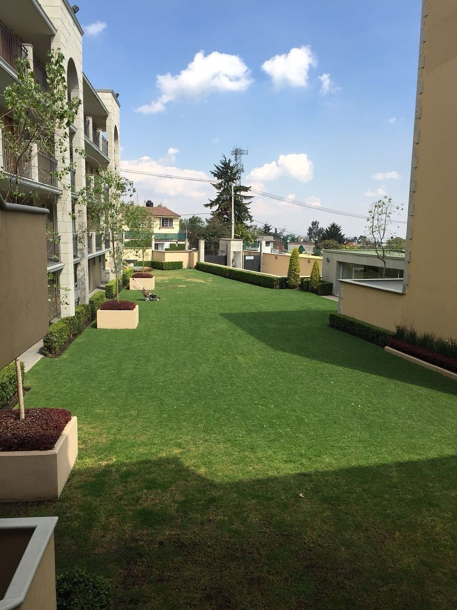 Departamento en Lomas de Memetla, Cuajimalpa de Morelos, foto 7 de 12