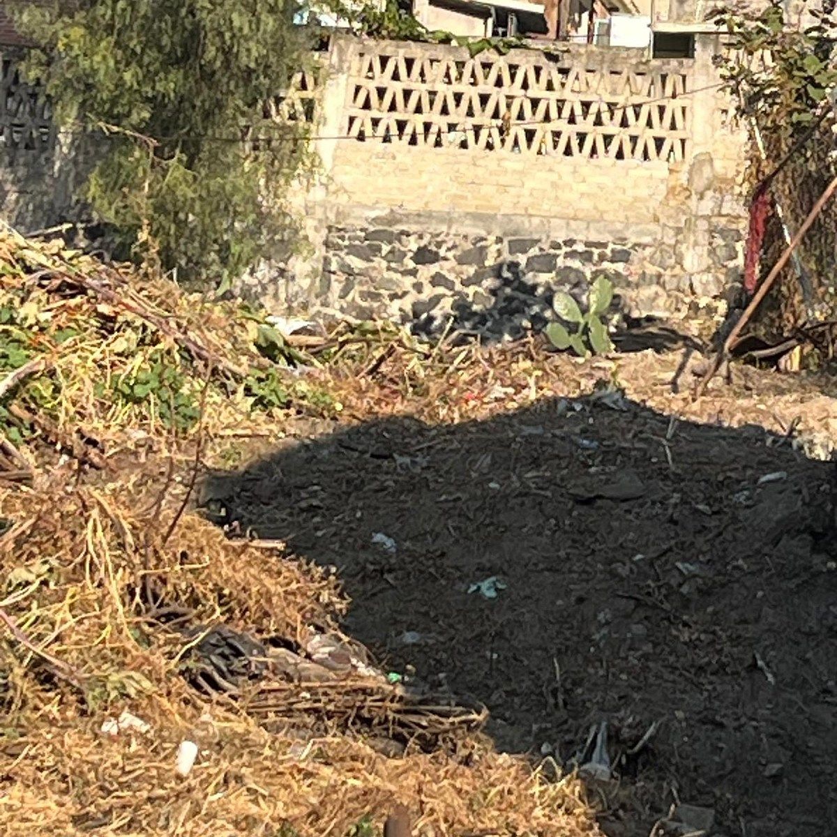 Terreno en Ampliación Las Águilas, Álvaro Obregón, foto 7 de 8