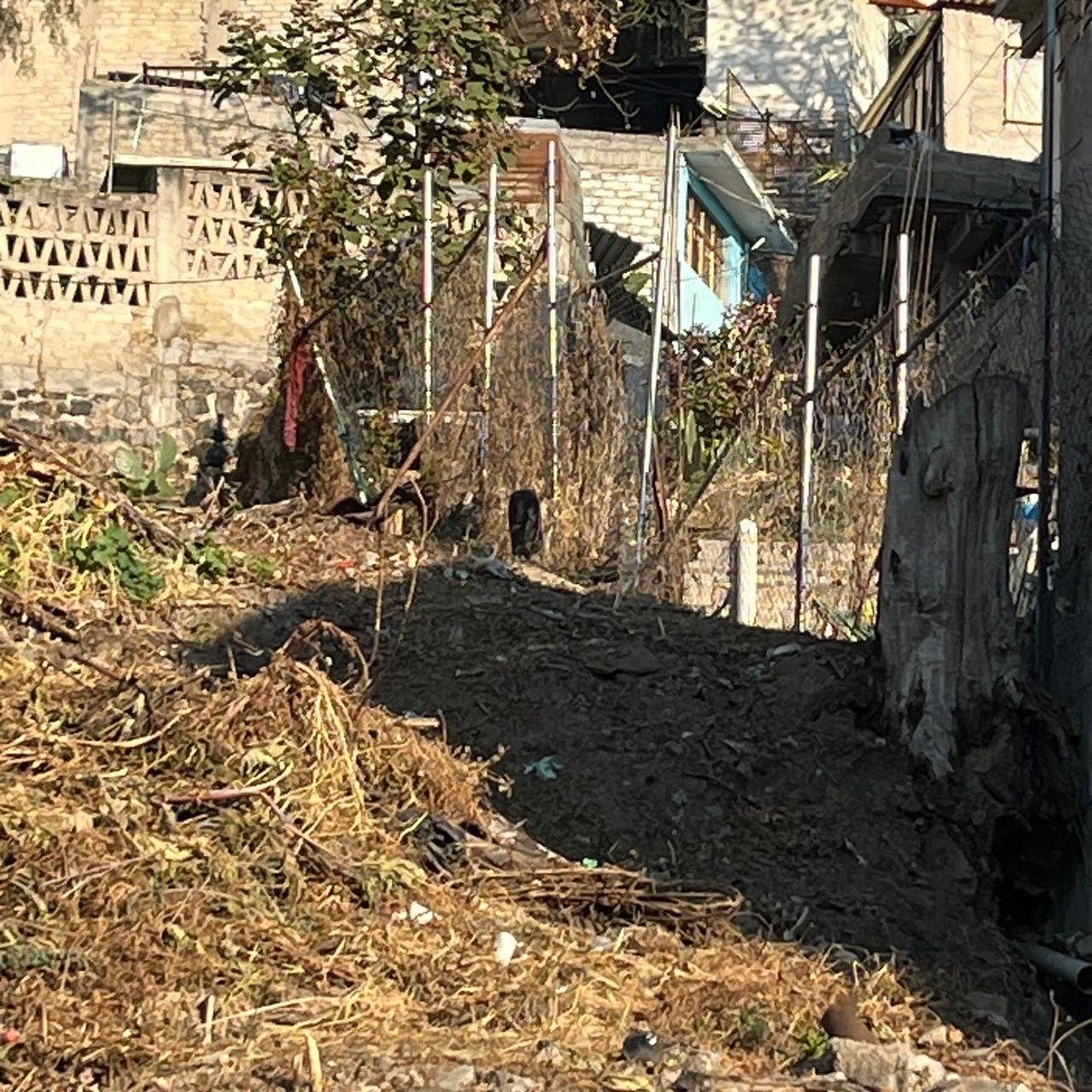 Terreno en Ampliación Las Águilas, Álvaro Obregón, foto 8 de 8