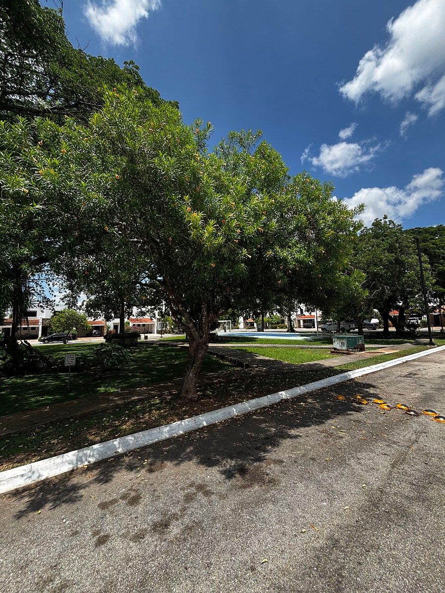 Parque frente a la casa, foto 17 de 29