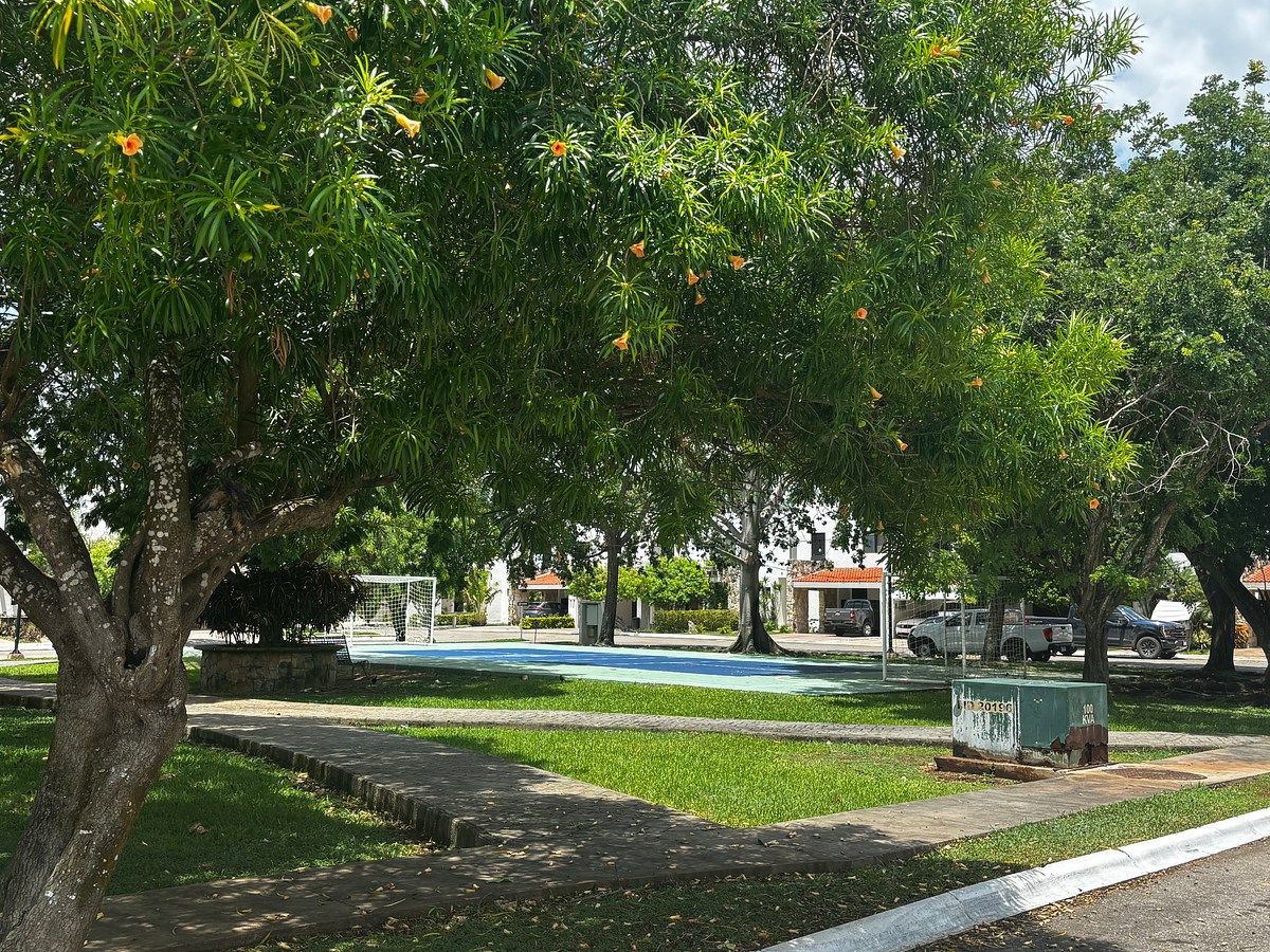 Parque frente a la casa, foto 20 de 29
