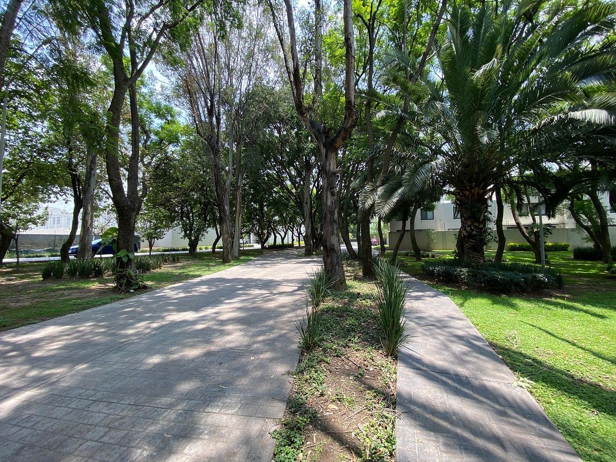 House in Gated Community in Santa Ana Tepetitlán, Zapopan, photo 8 of 14