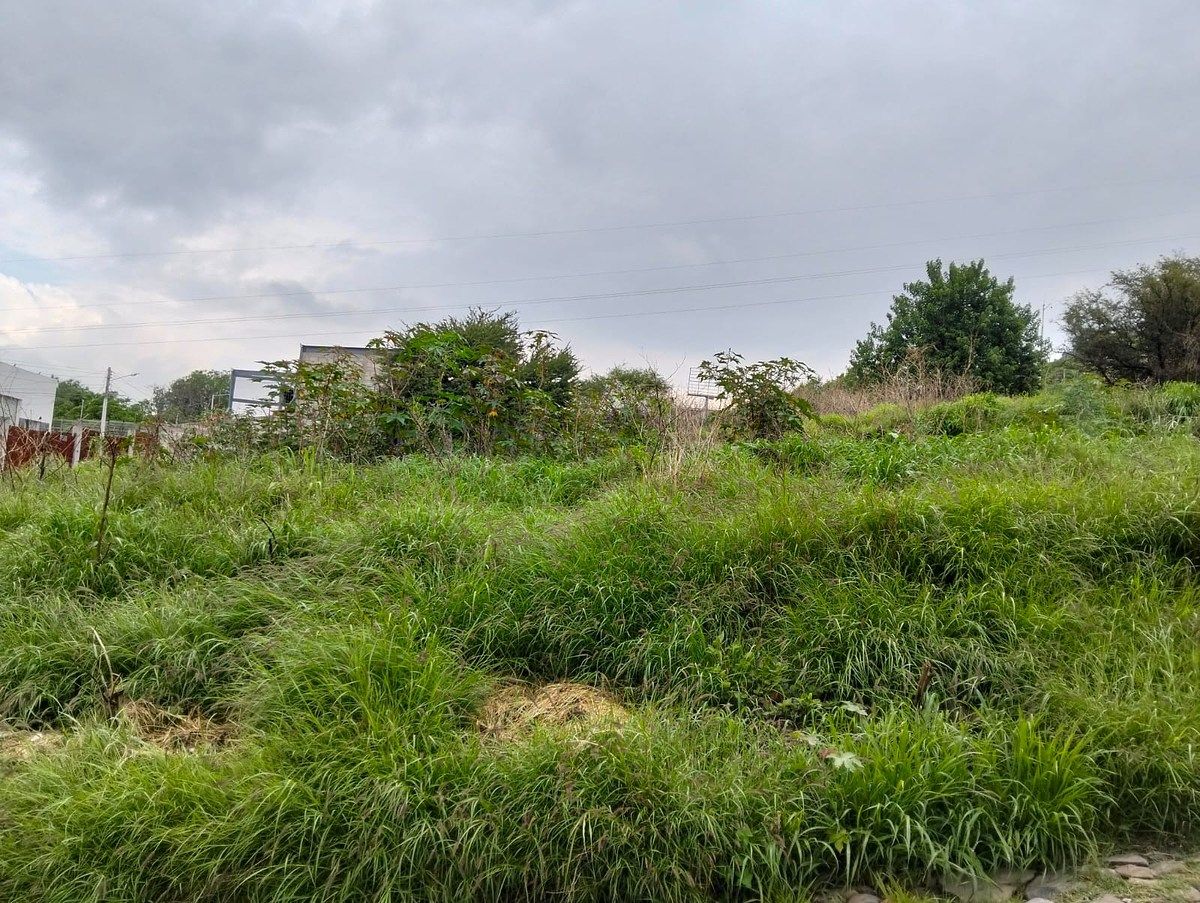 TERRENO EN VENTA EN SAN PEDRITO PEÑUELAS, foto 1 de 4
