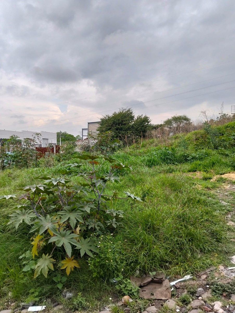 Lote em San Pedrito Peñuelas, Querétaro, foto 2 de 4