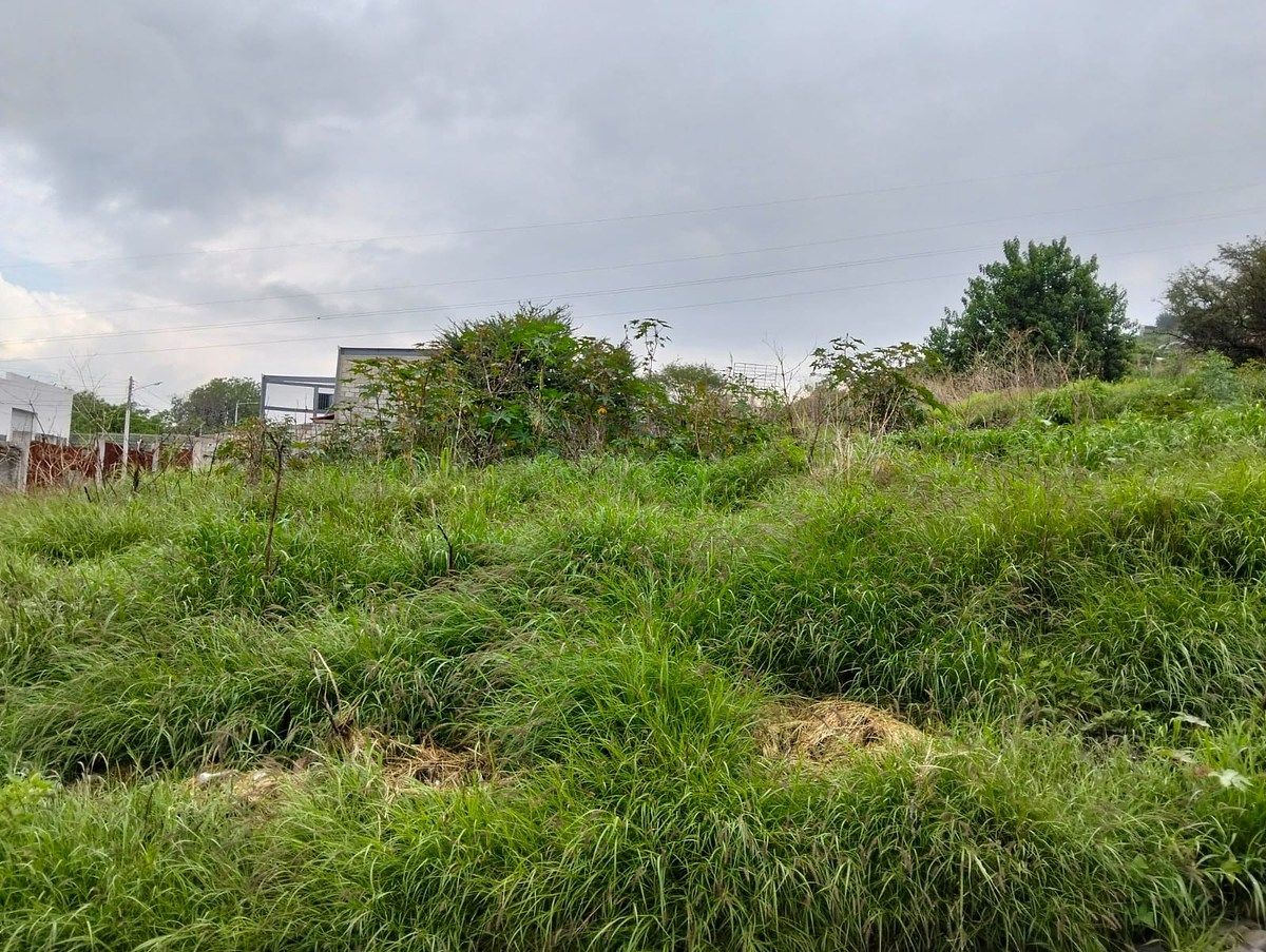 Lote em San Pedrito Peñuelas, Querétaro, foto 4 de 4