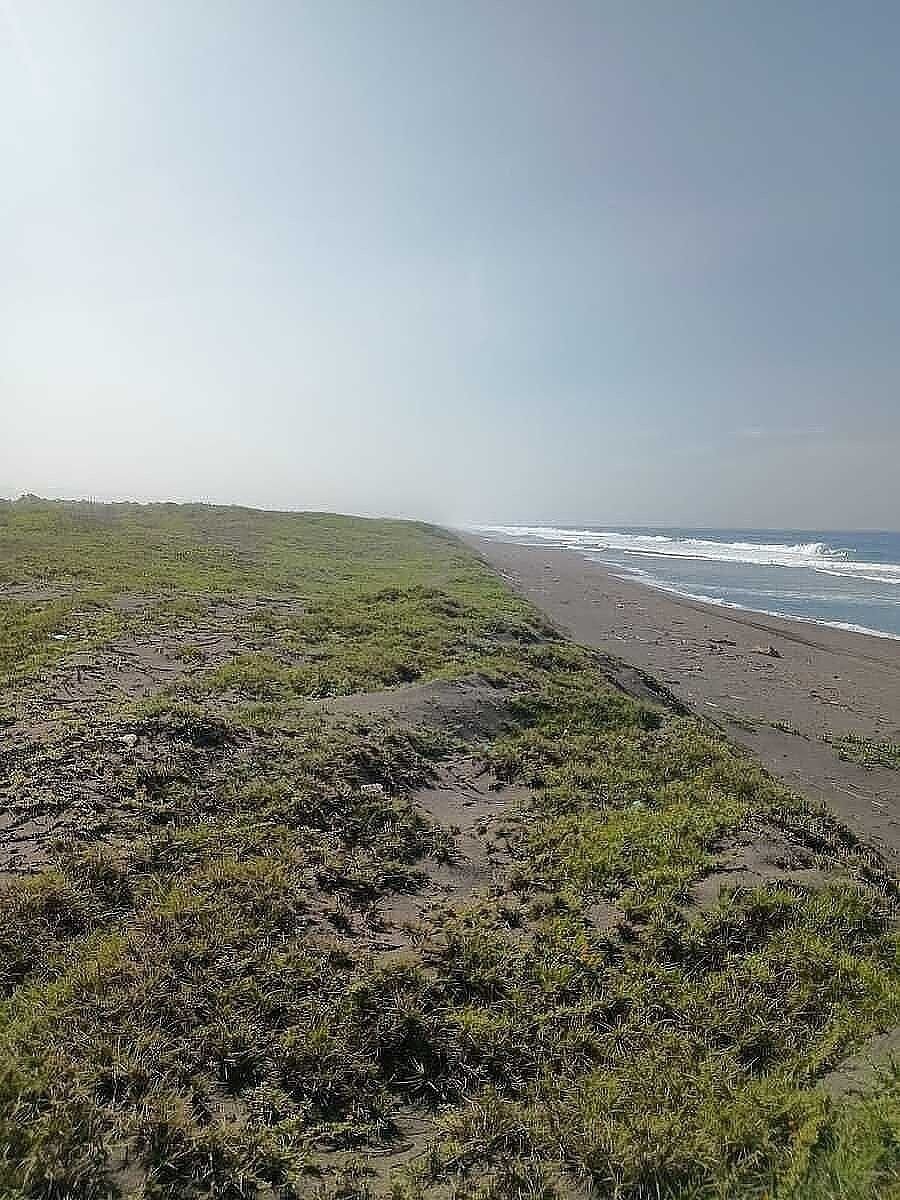 Lote em Campos, Manzanillo, foto 2 de 10