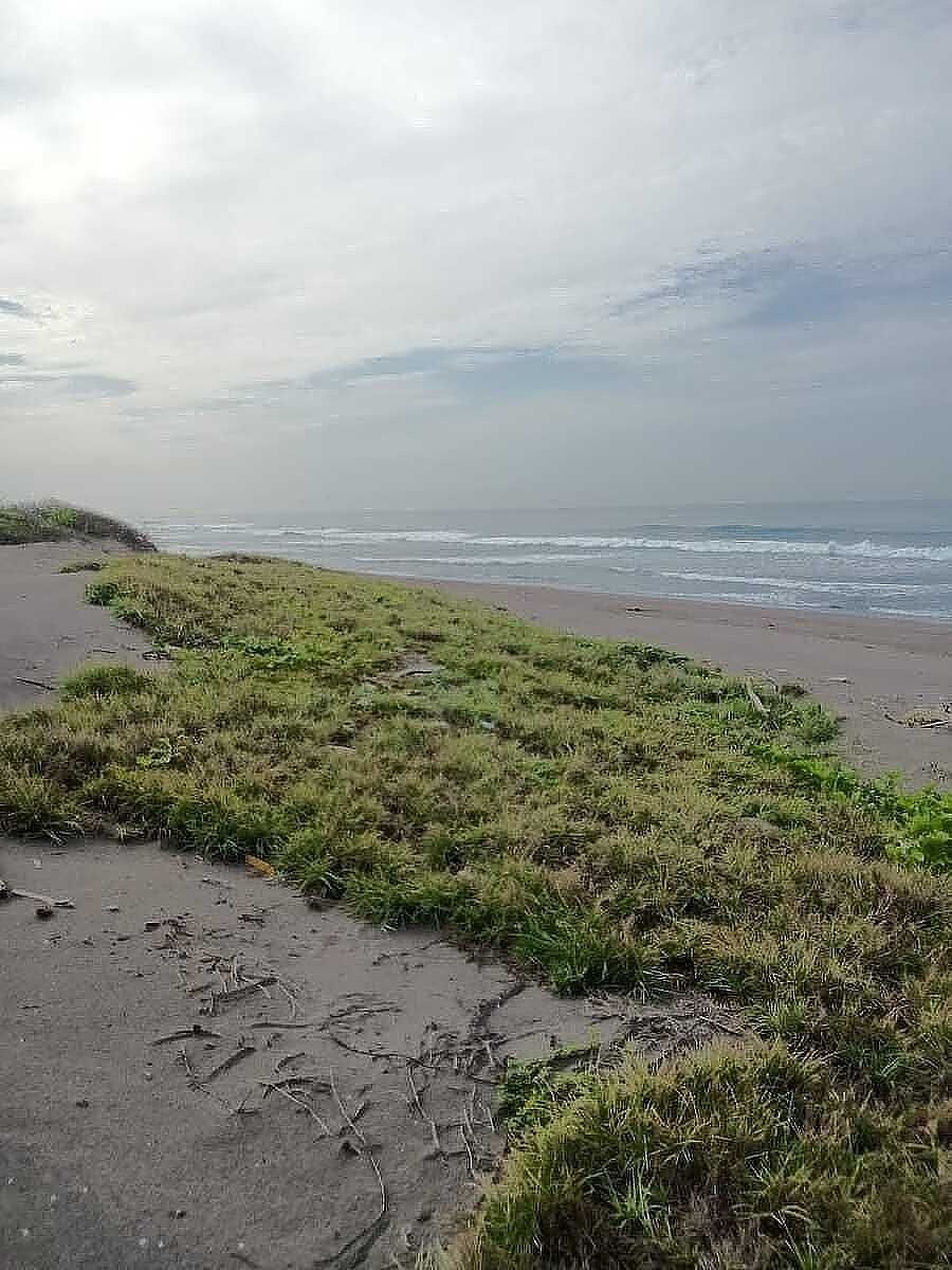 Lote em Campos, Manzanillo, foto 6 de 10