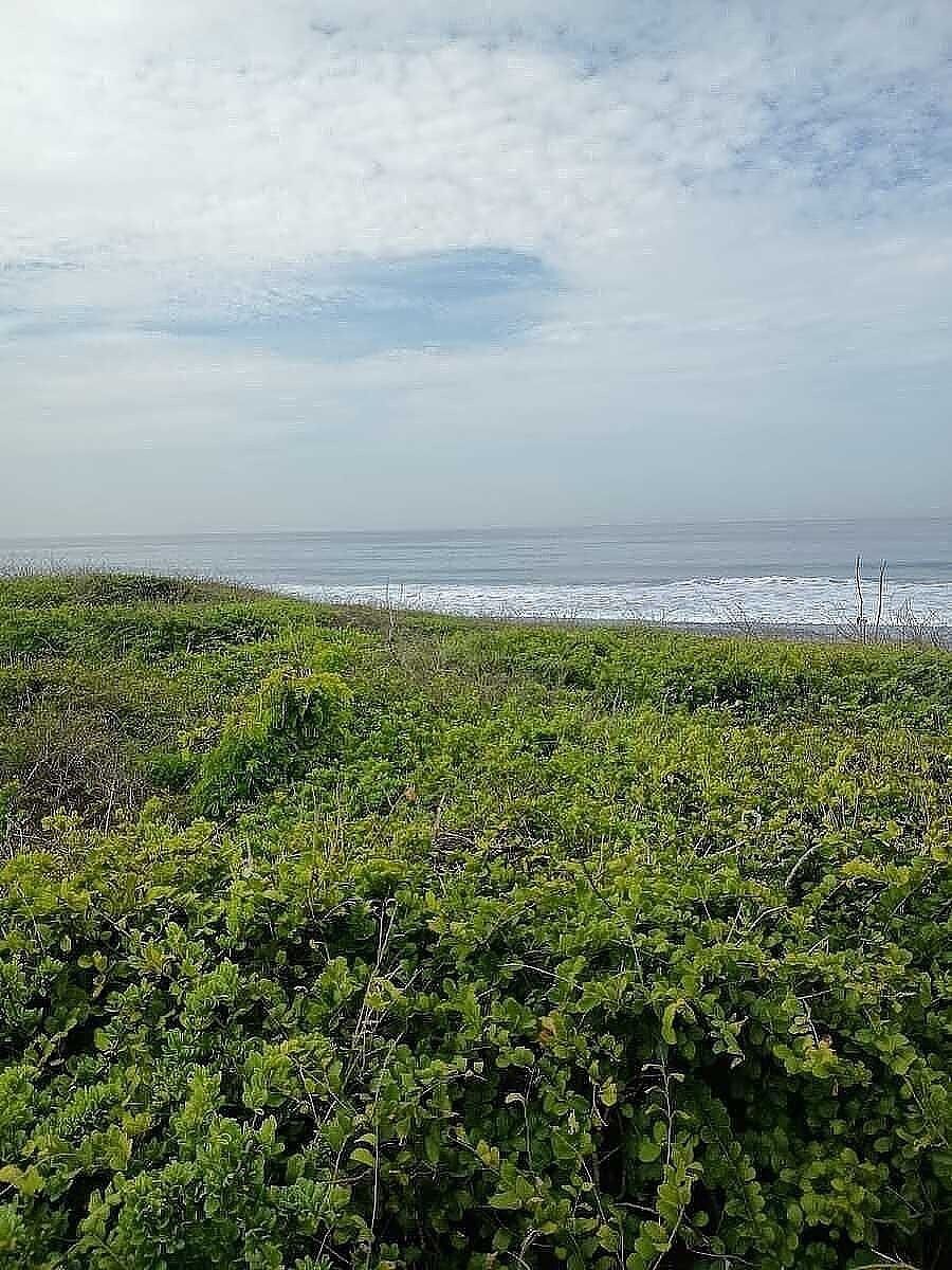 Lote em Campos, Manzanillo, foto 8 de 10