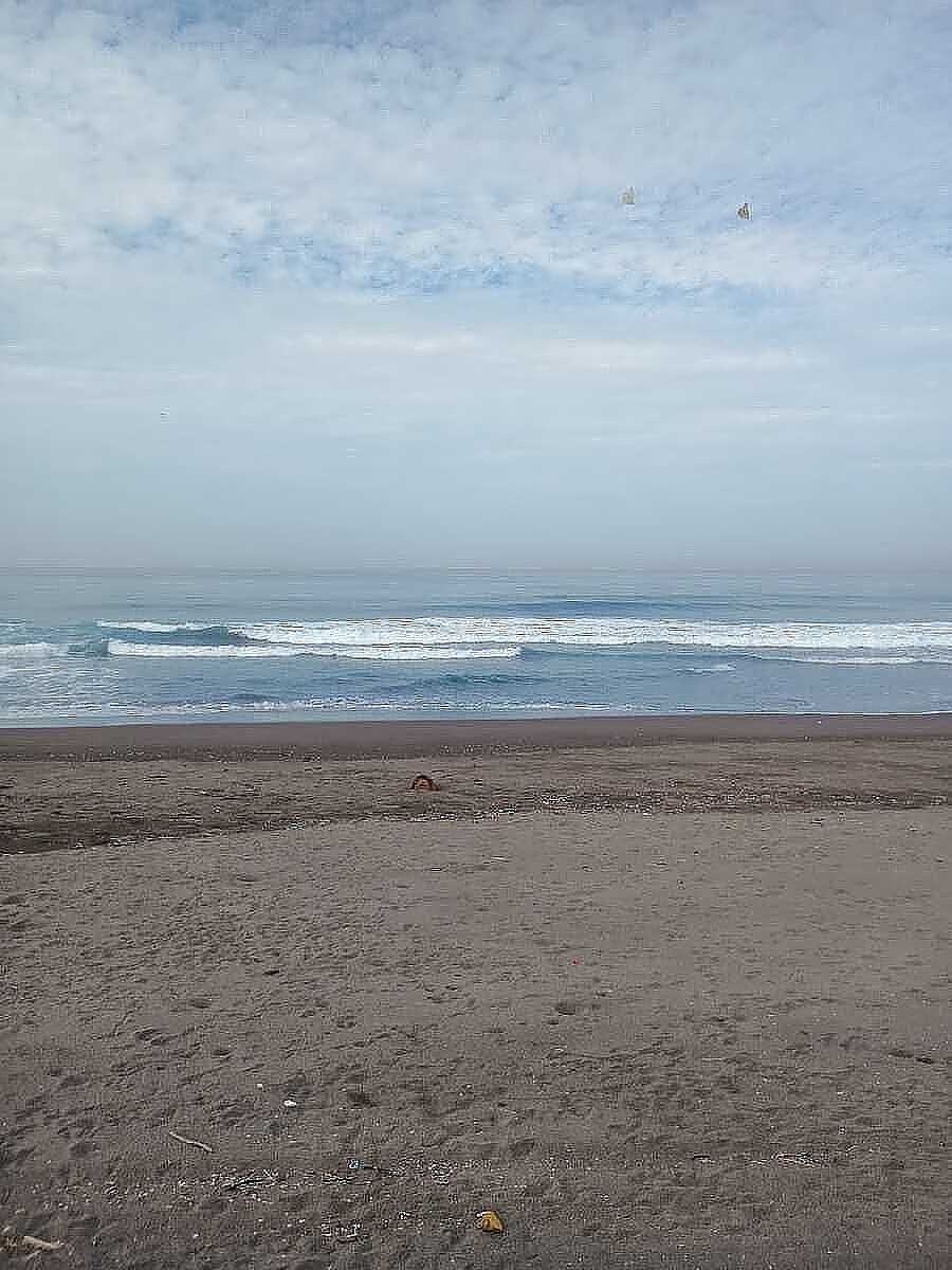Lote em Campos, Manzanillo, foto 9 de 10