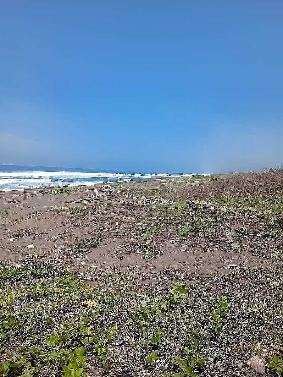 Lote em Campos, Manzanillo, foto 10 de 10