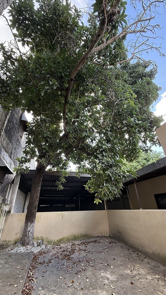 Terreno en Mérida Centro, Mérida, foto 7 de 11