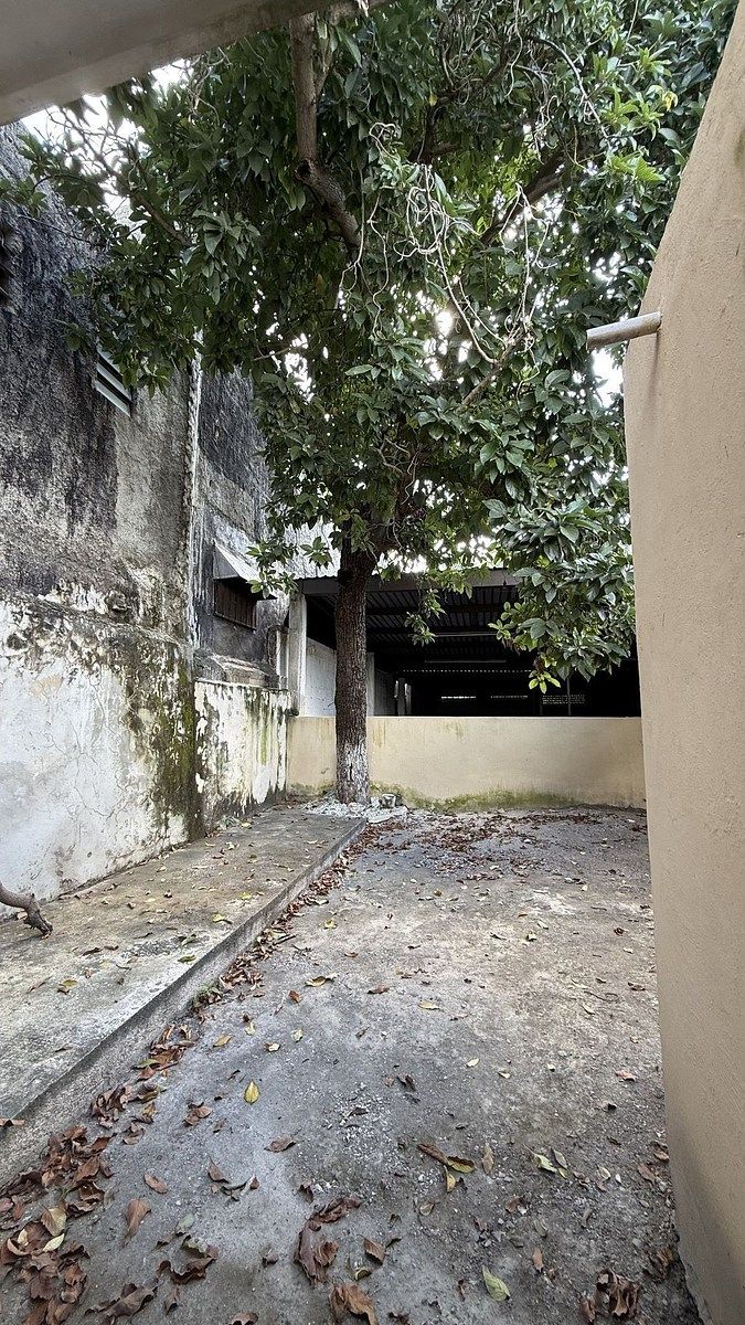 Terreno en Mérida Centro, Mérida, foto 10 de 11