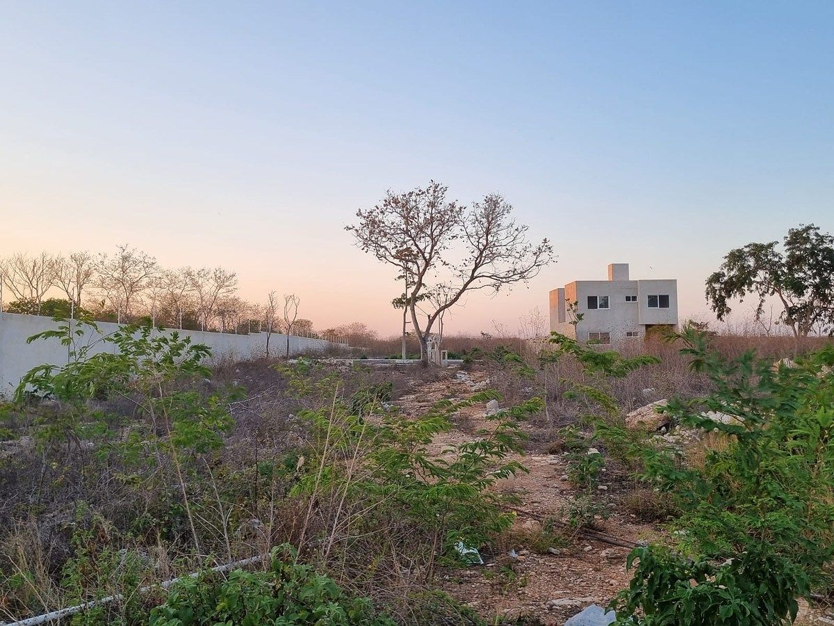 Lot in Sitpach, Mérida, photo 2 of 13