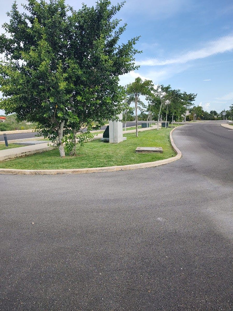 Lot in Sitpach, Mérida, photo 11 of 13