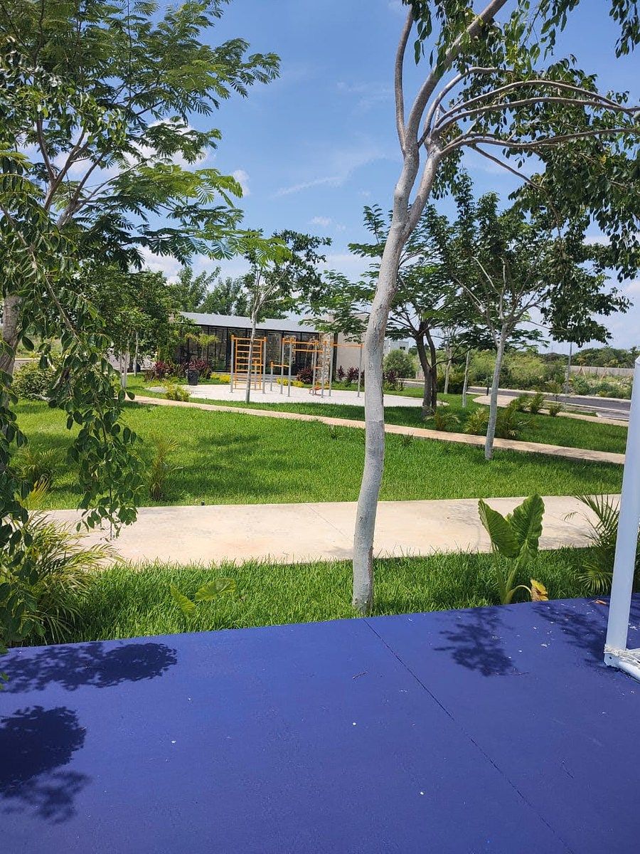 Lot in Sitpach, Mérida, photo 12 of 13